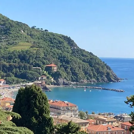 Fil Jaune Levanto
